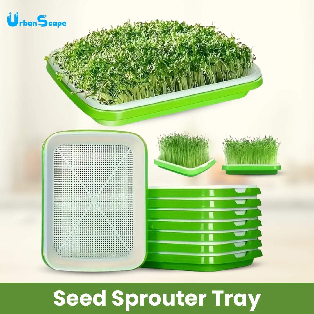 Seed Sprouter Tray - Healthy Wheatgrass Grower with Lid Sprouting Kit