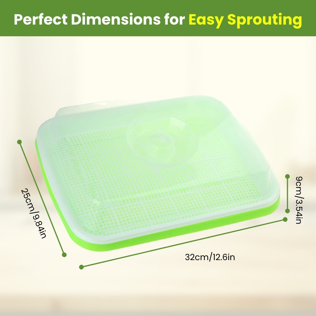 Seed Sprouter Tray - Healthy Wheatgrass Grower with Lid Sprouting Kit