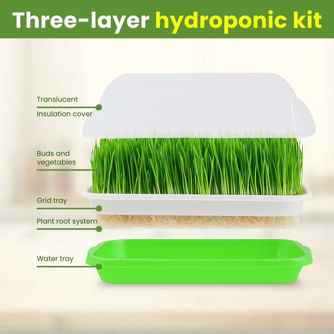 Seed Sprouter Tray - Healthy Wheatgrass Grower with Lid Sprouting Kit