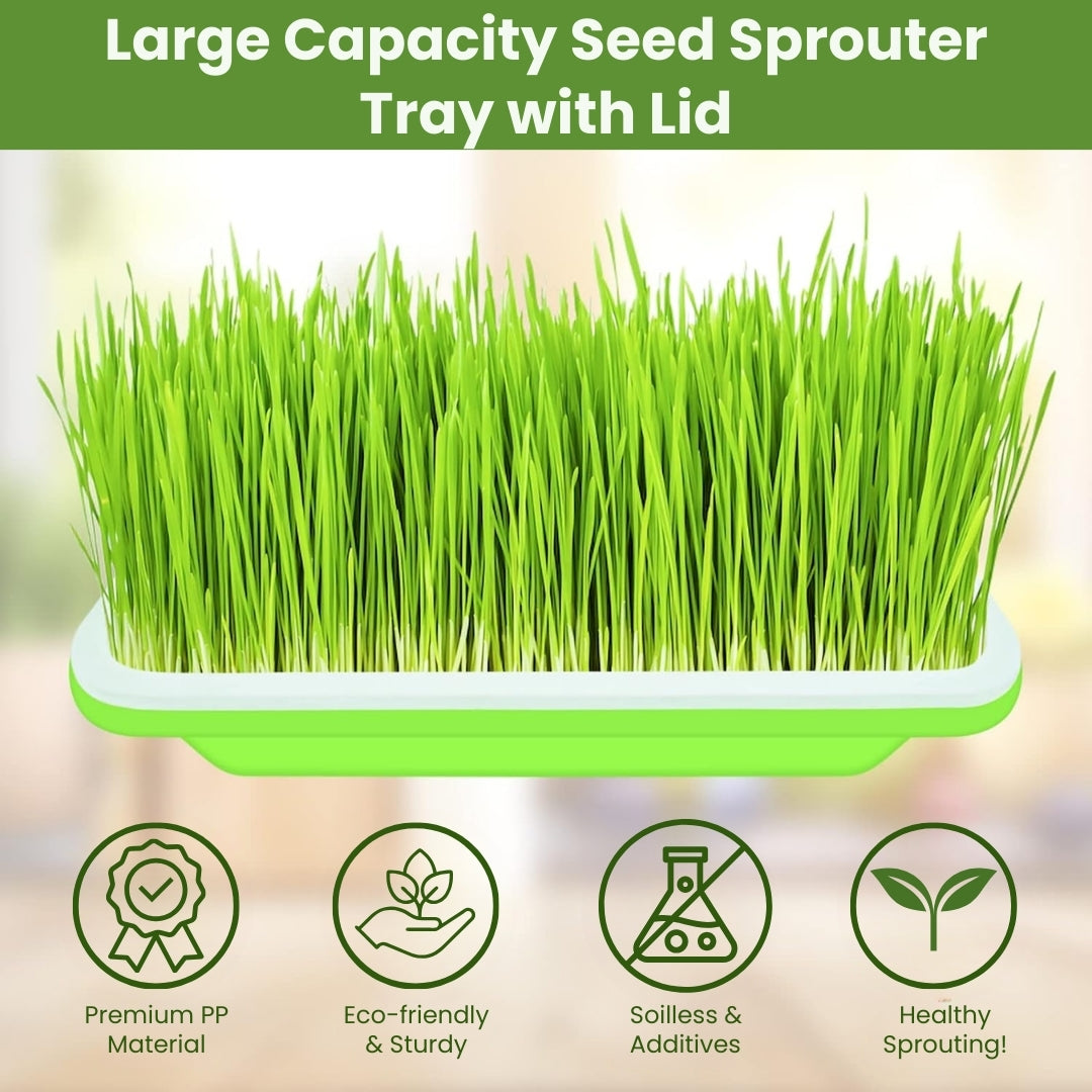 Seed Sprouter Tray - Healthy Wheatgrass Grower with Lid Sprouting Kit