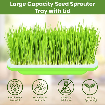 Seed Sprouter Tray - Healthy Wheatgrass Grower with Lid Sprouting Kit