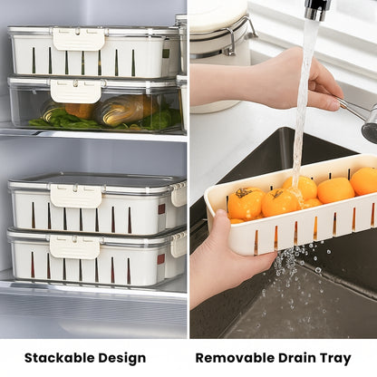Multi-Compartment Fridge Organizer Box with Lid & Handle