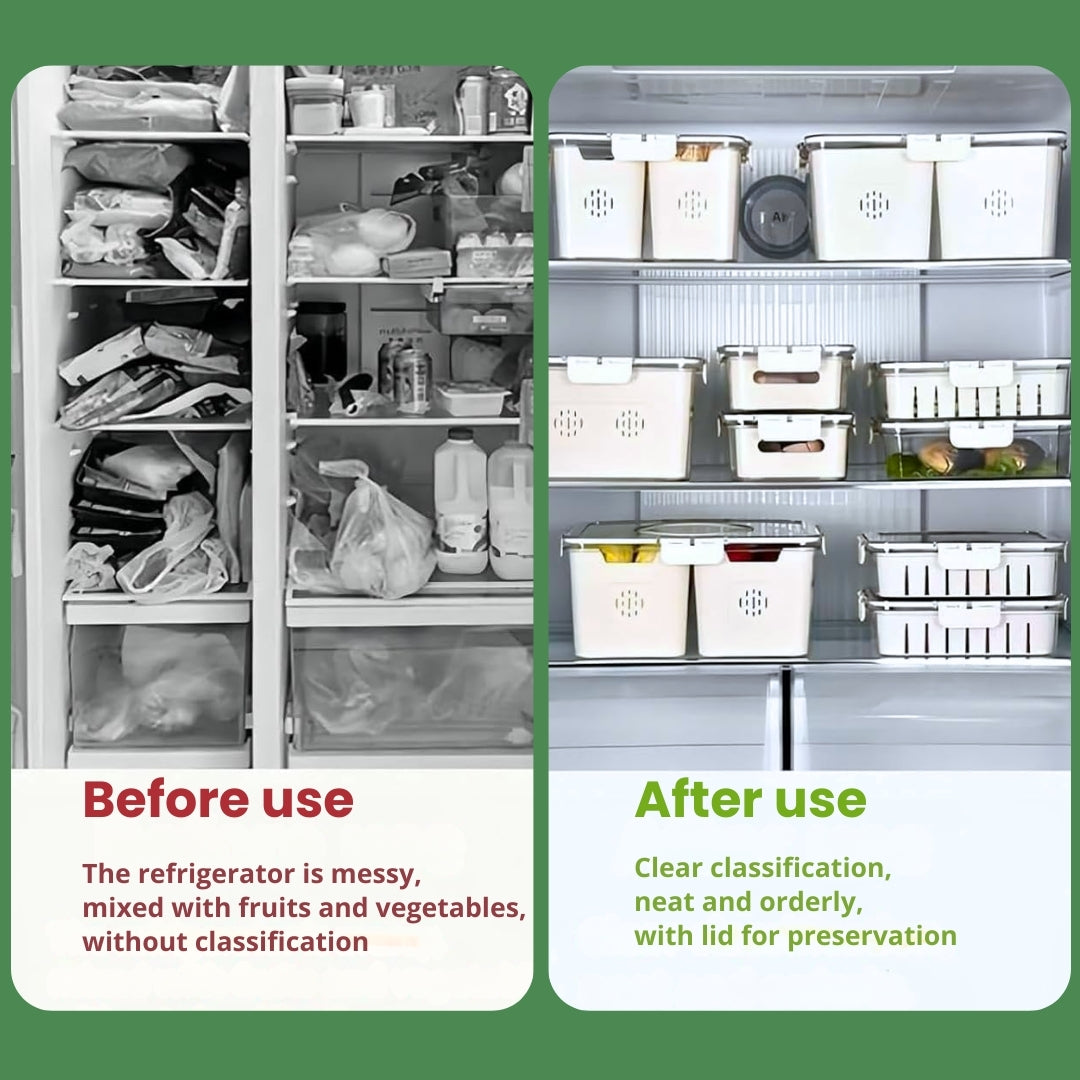 Multi-Compartment Fridge Organizer Box with Lid & Handle