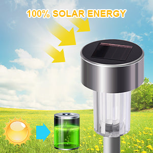 Solar Garden Light | Pathway Light
